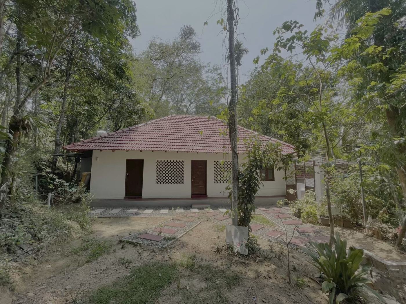 Homestay cottage surrounded by trees
