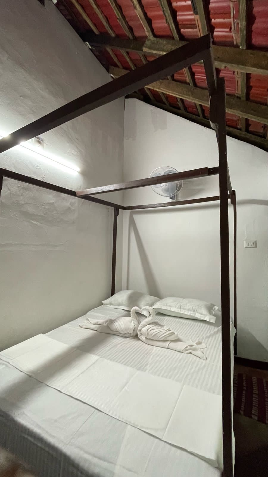 urban-nest 6